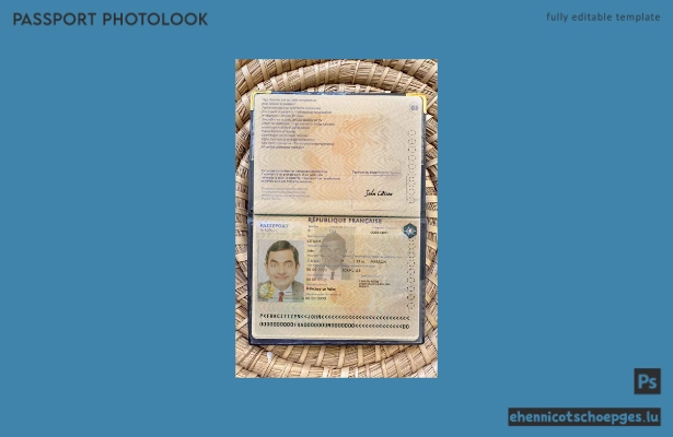 Vorschau des Fotos für den französischen Reisepass Version 2